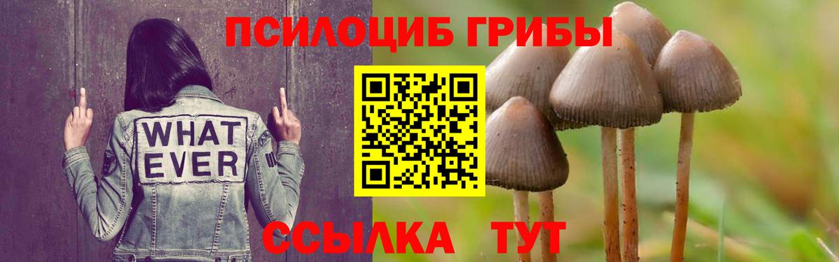 Куйбышев  Галлюциногенные грибы ЛСД  где можно купить наркотик  Вход с VPN  Псилоцибиновые грибы GOLDEN TEACHER 